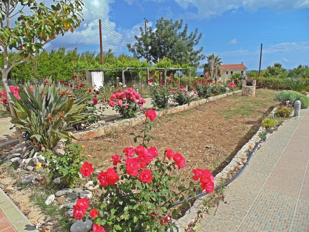 Eliofos Luxury Villa Polis Exterior foto